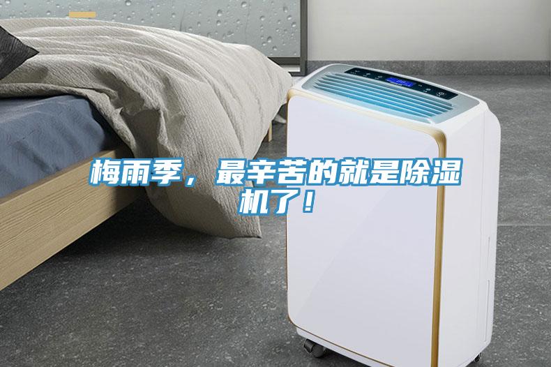 梅雨季，最辛苦的就是除濕機了！