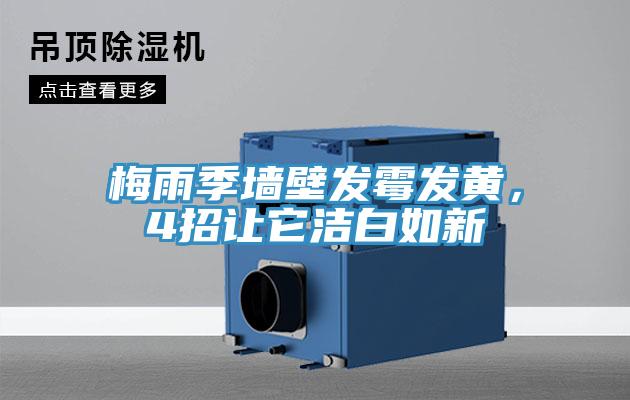 梅雨季墻壁發霉發黃，4招讓它潔白如新
