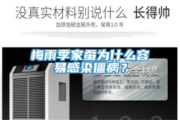 梅雨季家蠶為什么容易感染僵?。?></div>
								<div   id=