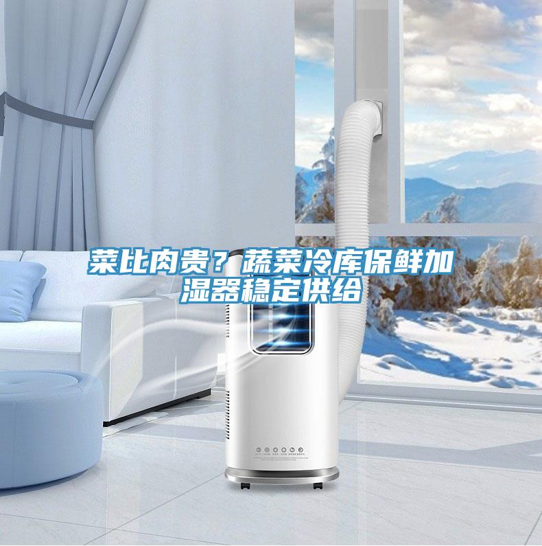 菜比肉貴？蔬菜冷庫保鮮加濕器穩(wěn)定供給