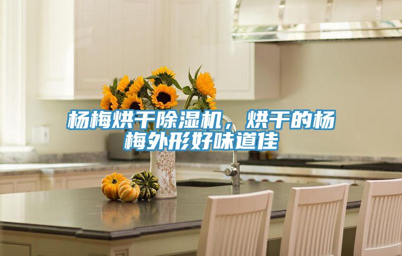 楊梅烘干除濕機(jī)，烘干的楊梅外形好味道佳