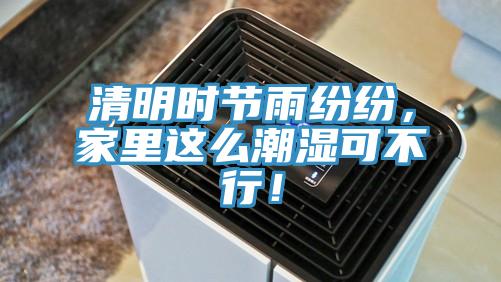 清明時節雨紛紛，家里這么潮濕可不行！