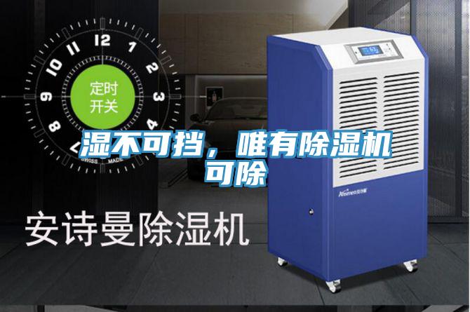 濕不可擋，唯有除濕機可除