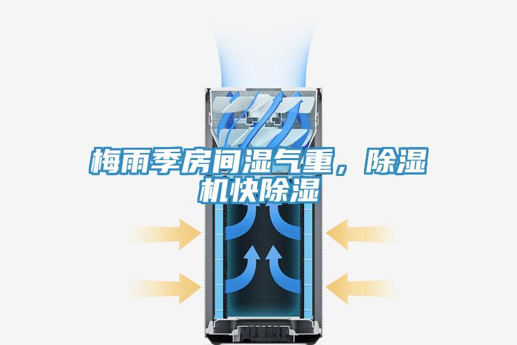 梅雨季房間濕氣重，除濕機快除濕