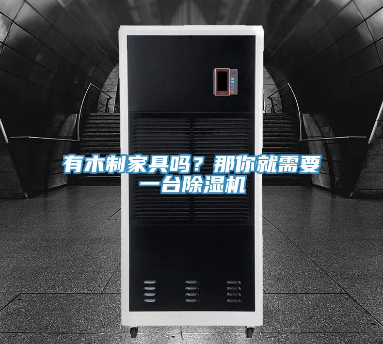 有木制家具嗎？那你就需要一臺除濕機