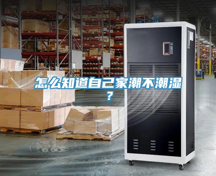 怎么知道自己家潮不潮濕？