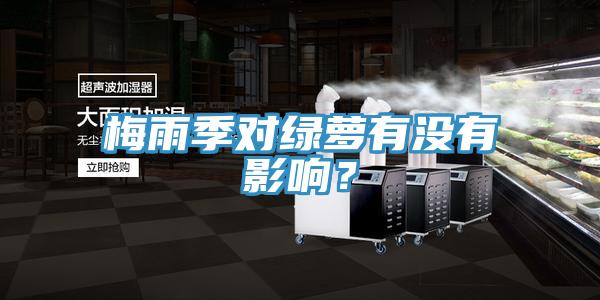 梅雨季對綠蘿有沒有影響？