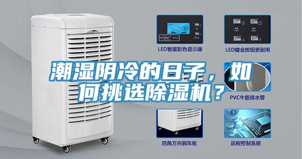 潮濕陰冷的日子，如何挑選除濕機(jī)？