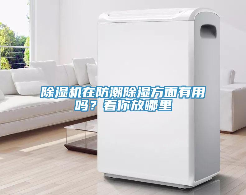 除濕機在防潮除濕方面有用嗎？看你放哪里