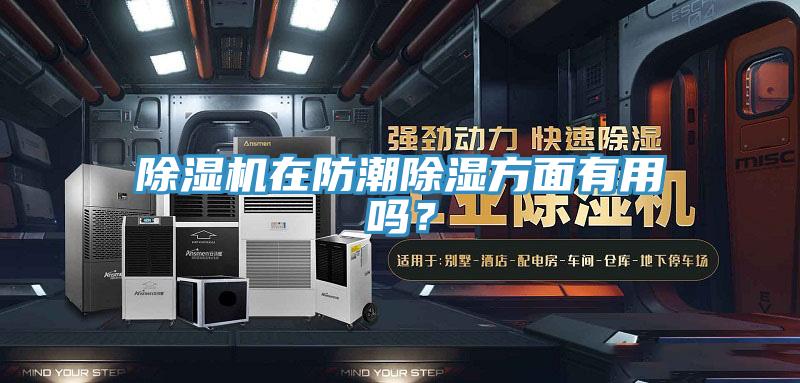 除濕機在防潮除濕方面有用嗎？