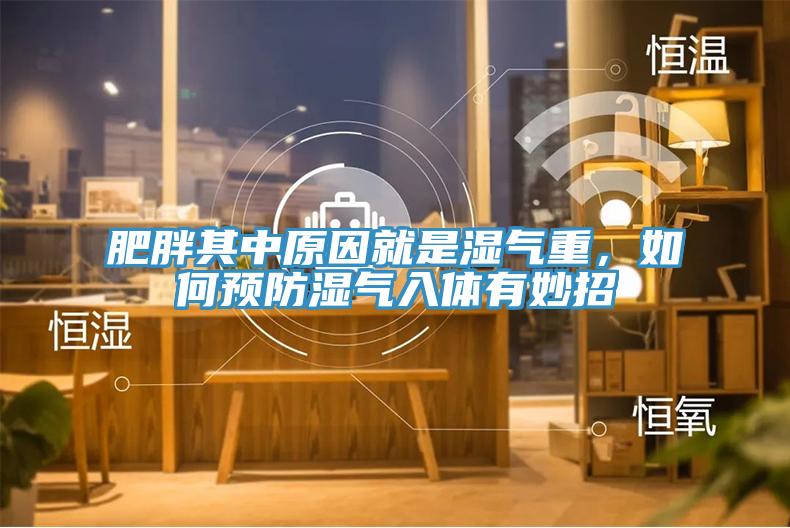 肥胖其中原因就是濕氣重，如何預防濕氣入體有妙招