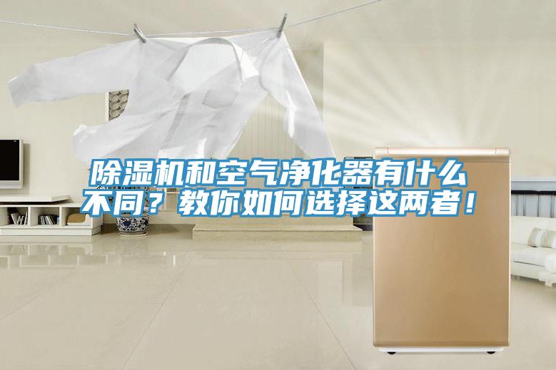 除濕機和空氣凈化器有什么不同？教你如何選擇這兩者！