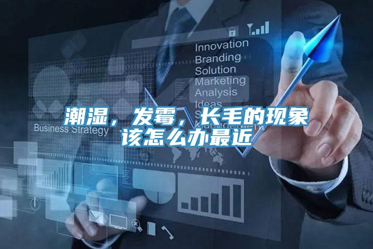 潮濕，發霉，長毛的現象該怎么辦最近