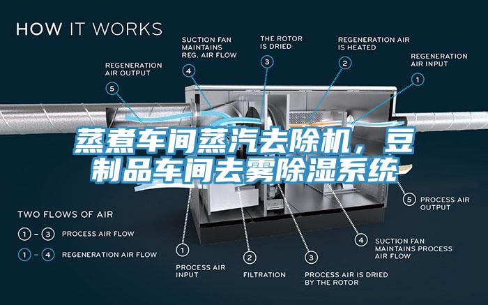 蒸煮車間蒸汽去除機，豆制品車間去霧除濕系統