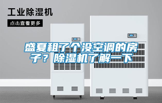 盛夏租了個沒空調的房子？除濕機了解一下