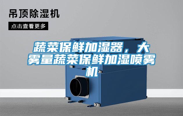 蔬菜保鮮加濕器，大霧量蔬菜保鮮加濕噴霧機