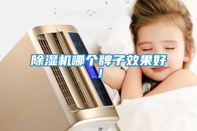 除濕機(jī)哪個(gè)牌子效果好！