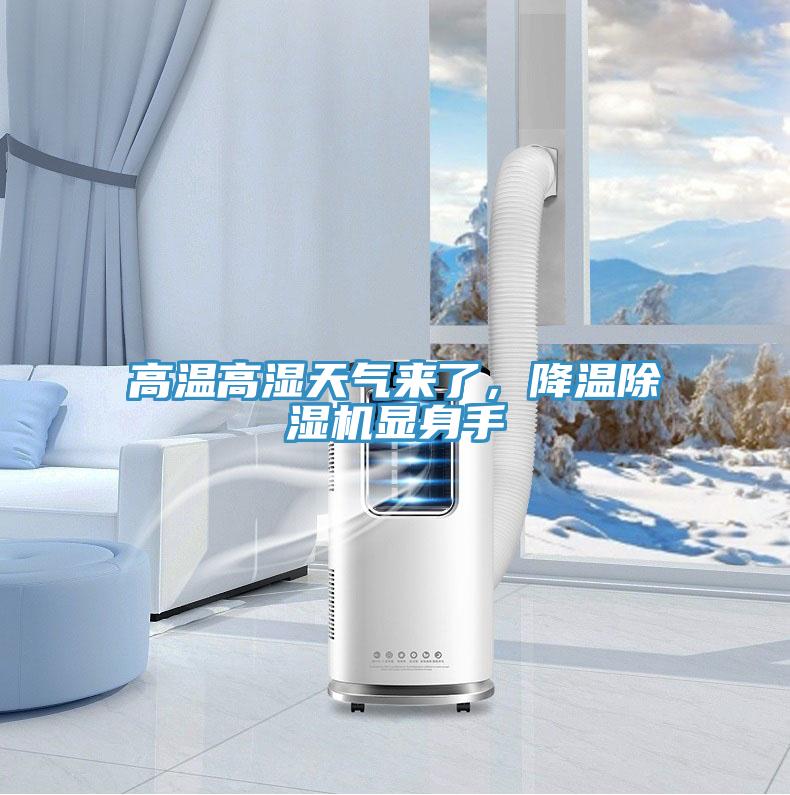 高溫高濕天氣來了，降溫除濕機顯身手