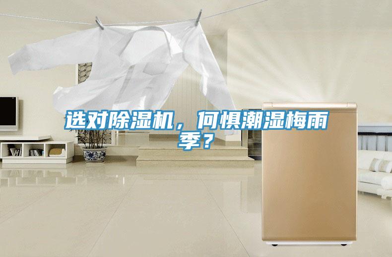選對除濕機，何懼潮濕梅雨季？