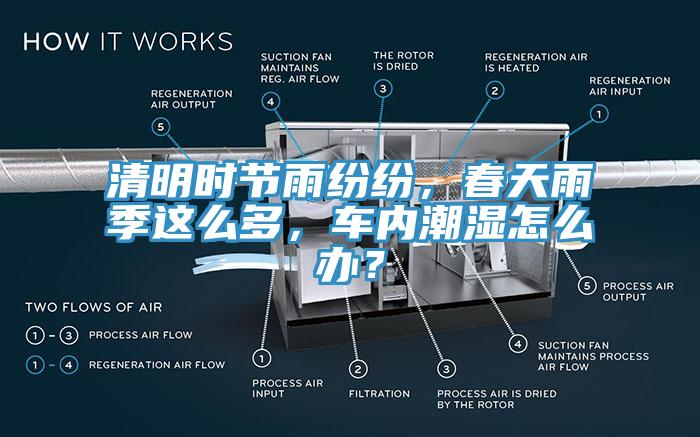 清明時(shí)節(jié)雨紛紛，春天雨季這么多，車內(nèi)潮濕怎么辦？