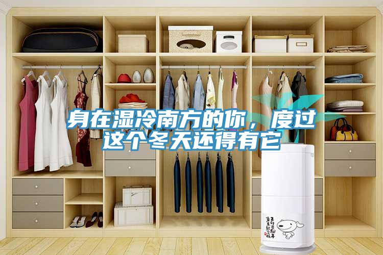 身在濕冷南方的你，度過這個冬天還得有它