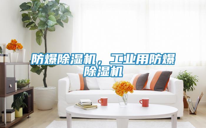 防爆除濕機，工業(yè)用防爆除濕機