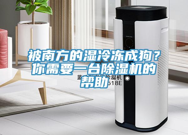 被南方的濕冷凍成狗？你需要一臺除濕機的幫助