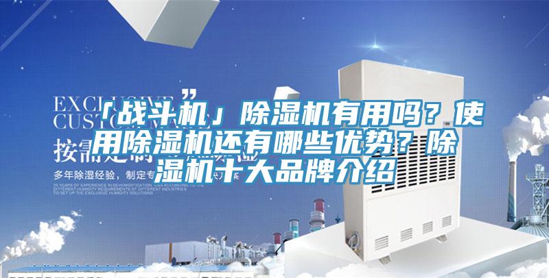 「戰(zhàn)斗機(jī)」除濕機(jī)有用嗎？使用除濕機(jī)還有哪些優(yōu)勢(shì)？除濕機(jī)十大品牌介紹