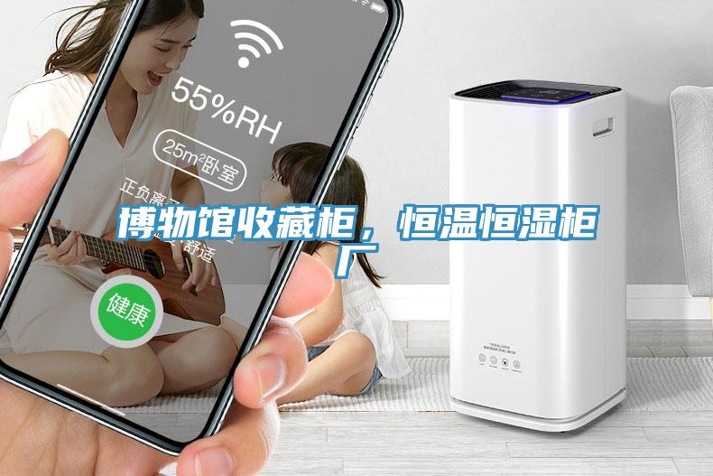 博物館收藏柜，恒溫恒濕柜廠