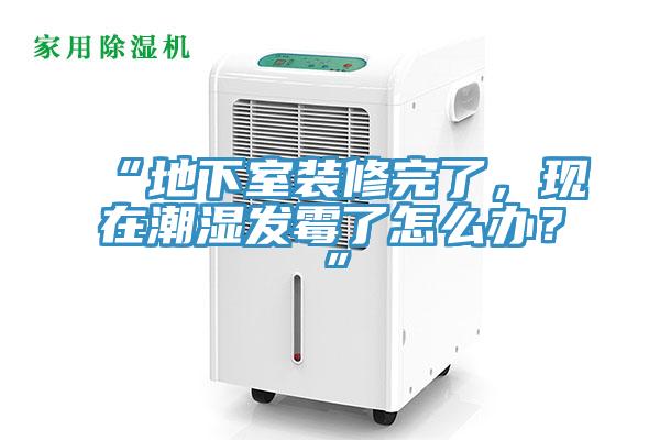 “地下室裝修完了，現(xiàn)在潮濕發(fā)霉了怎么辦？”