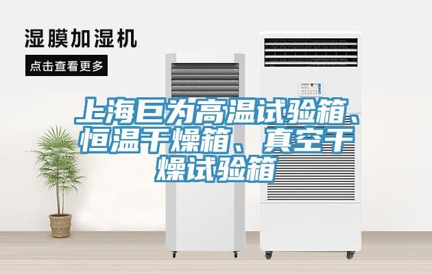 上海巨為高溫試驗箱、恒溫干燥箱、真空干燥試驗箱