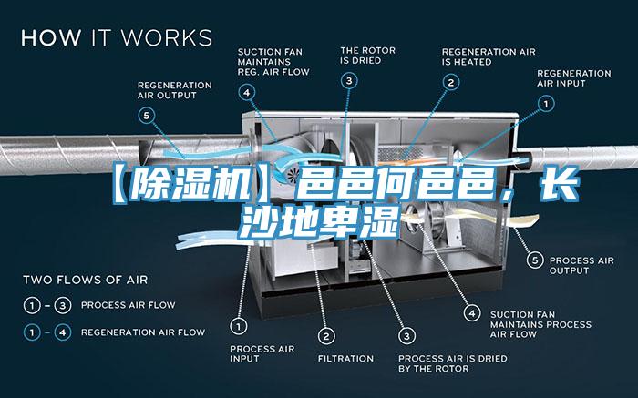 【除濕機(jī)】邑邑何邑邑，長沙地卑濕