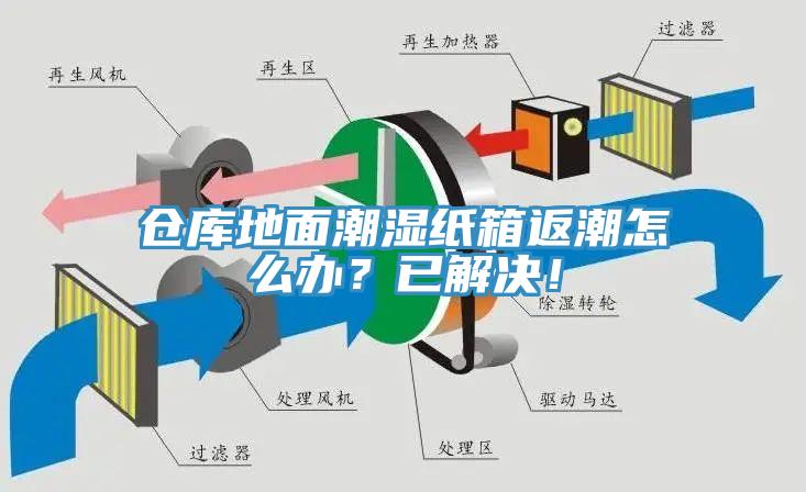 倉庫地面潮濕紙箱返潮怎么辦？已解決！