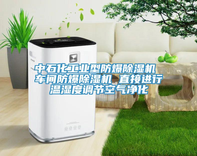中石化工業(yè)型防爆除濕機 車間防爆除濕機 直接進(jìn)行溫濕度調(diào)節(jié)空氣凈化