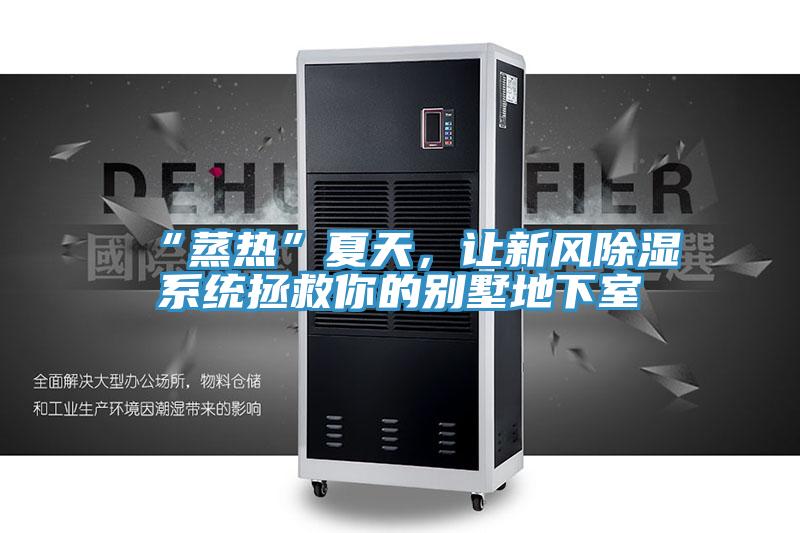 “蒸熱”夏天，讓新風(fēng)除濕系統(tǒng)拯救你的別墅地下室