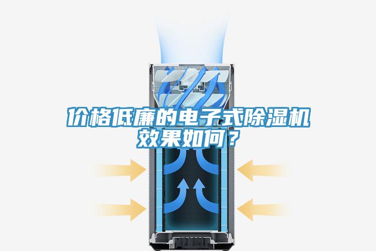 價格低廉的電子式除濕機效果如何？