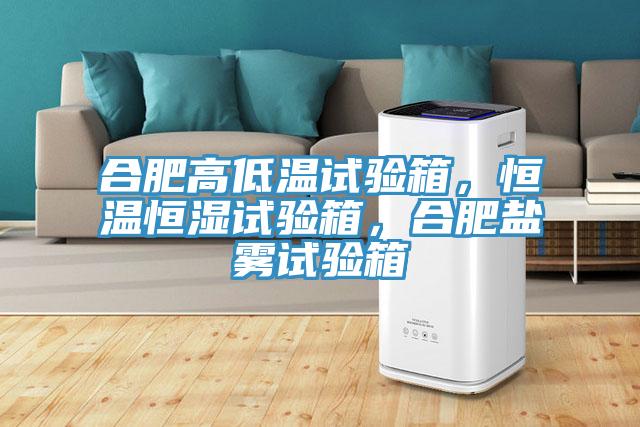 合肥高低溫試驗箱，恒溫恒濕試驗箱，合肥鹽霧試驗箱