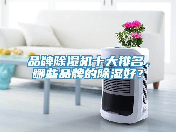 品牌除濕機十大排名，哪些品牌的除濕好？