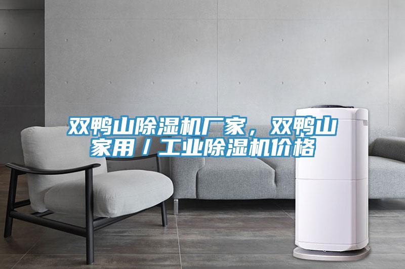 雙鴨山除濕機廠家，雙鴨山家用／工業(yè)除濕機價格