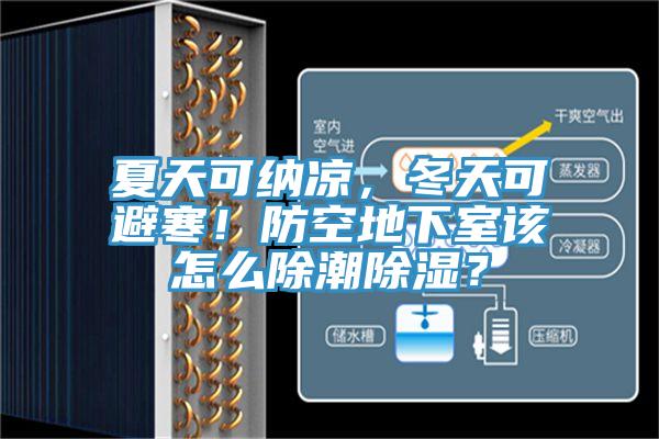夏天可納涼，冬天可避寒！防空地下室該怎么除潮除濕？