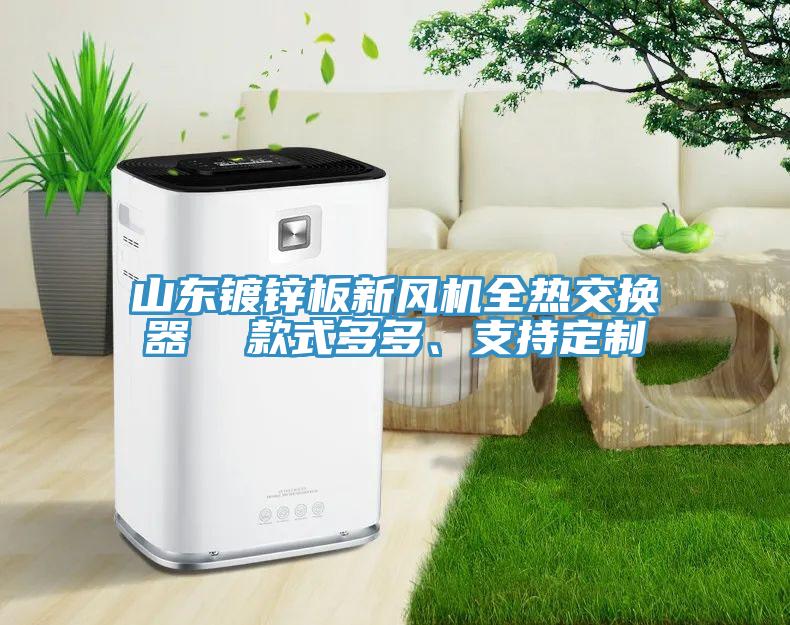 山東鍍鋅板新風(fēng)機全熱交換器  款式多多、支持定制