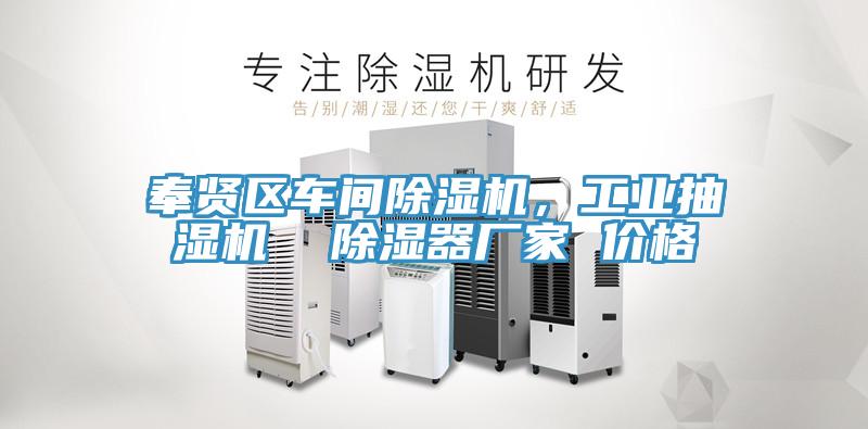 奉賢區車間除濕機，工業抽濕機  除濕器廠家 價格