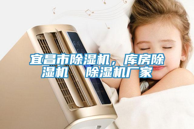 宜昌市除濕機，庫房除濕機  除濕機廠家