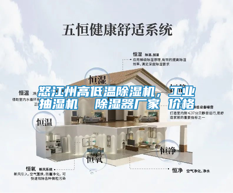 怒江州高低溫除濕機，工業抽濕機  除濕器廠家 價格