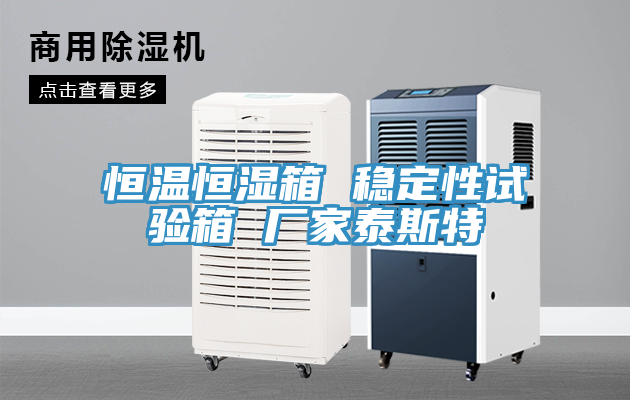 恒溫恒濕箱 穩定性試驗箱 廠家泰斯特