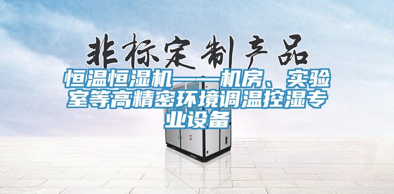 恒溫恒濕機(jī)——機(jī)房、實(shí)驗室等高精密環(huán)境調(diào)溫控濕專業(yè)設(shè)備
