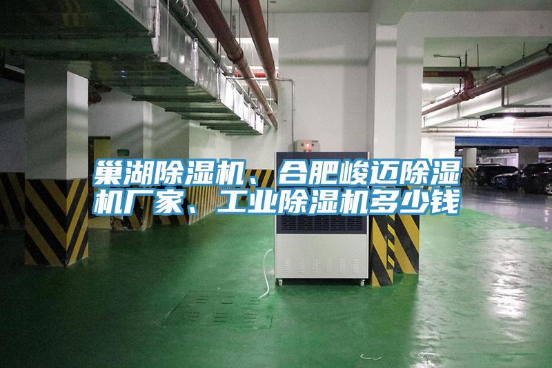 巢湖除濕機(jī)、合肥峻邁除濕機(jī)廠家、工業(yè)除濕機(jī)多少錢