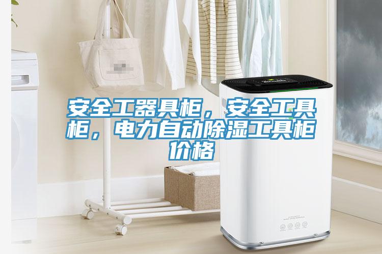 安全工器具柜，安全工具柜，電力自動除濕工具柜價格