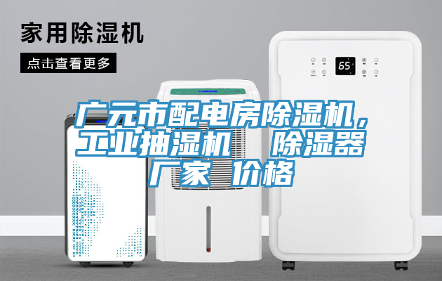廣元市配電房除濕機，工業(yè)抽濕機  除濕器廠家 價格