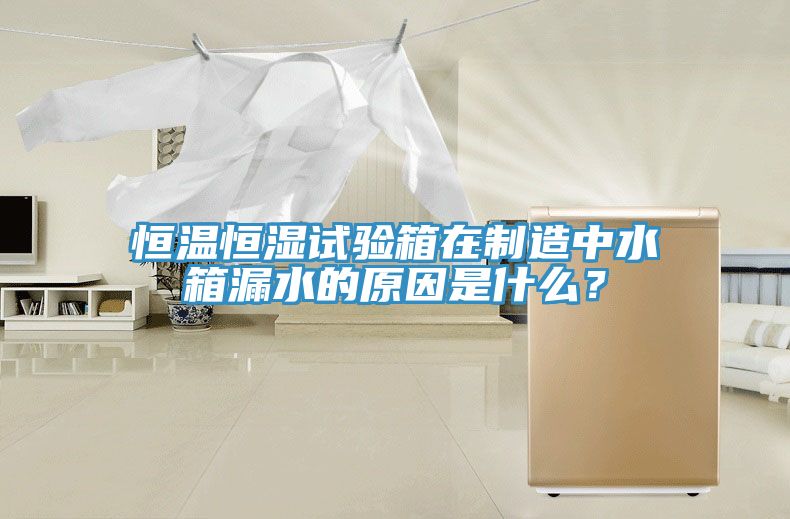 恒溫恒濕試驗箱在制造中水箱漏水的原因是什么？